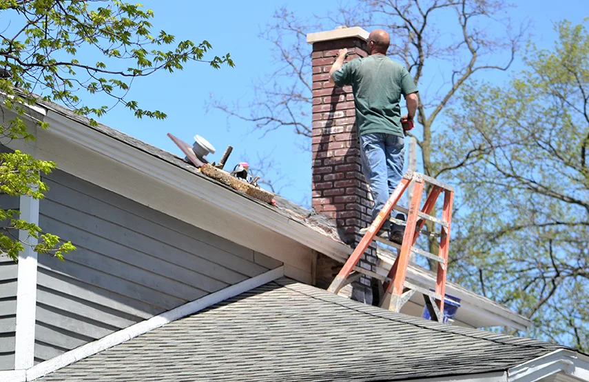 Chimney & Fireplace Inspections Services in Inglewood-Finn Hill, WA